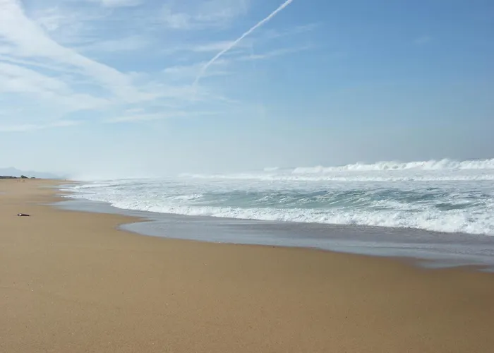 Océan Сasa de vacaciones